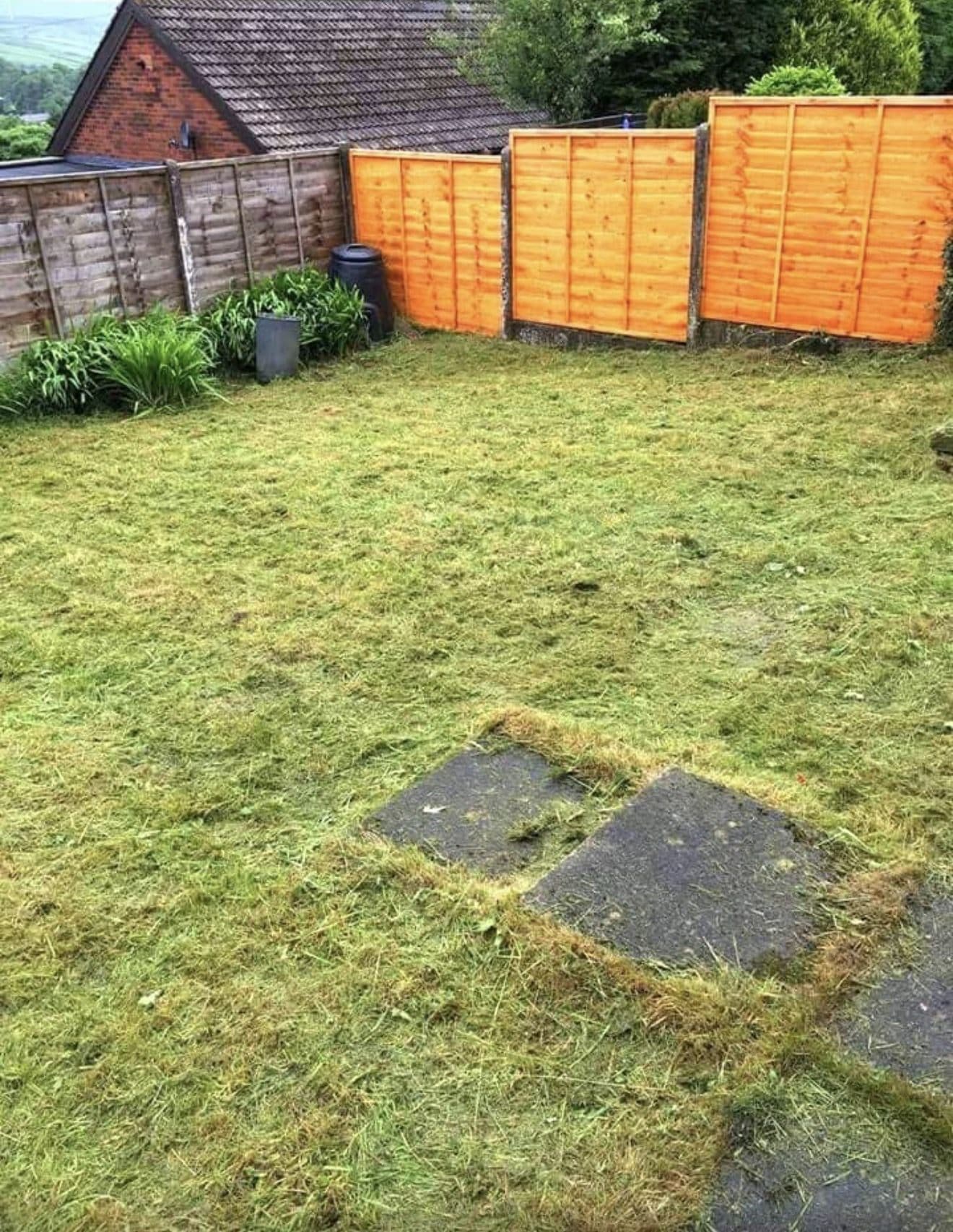 Garden lawn cut back and tidied