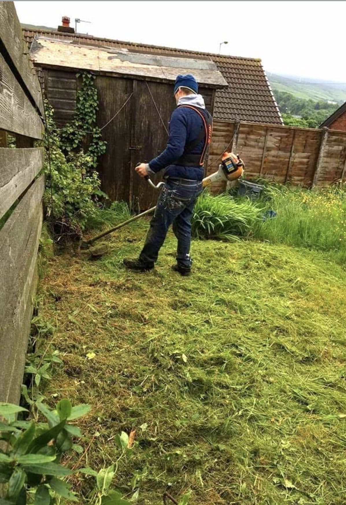 Overgrown garden being cut back with a strimmer